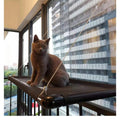Cat Hammock