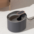 Automatic Pet Hydration Station