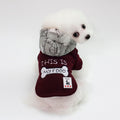 Cute Hooded Padded Clothing for Pets
