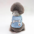 Cute Hooded Padded Clothing for Pets