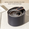 Automatic Pet Hydration Station